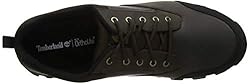 Timberland Men's Mt. Maddsen Waterproof Low Hiker