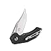 Firebird GANZO FH61-BK Pocket Folding Knife D2 Steel Blade G10 Handle with Clip Hunting Fishing Camping Survival Outdoor EDC Knife (Black)