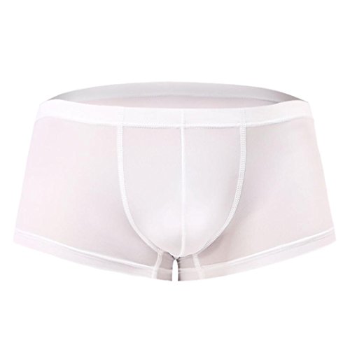 Men Transparent Underwear Boxer ,Vanvler Sexy Male Briefs Shorts Bulge Pouch Underpants (White, M)