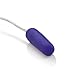 CalExotics Whisper Micro Bullet – Self Heating Wired Pocket Bullet Vibrator - Remote Control Sex Toys for Couples - Adult Egg Massager - 1.25 Inch - Purple