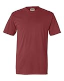 Comfort Colors 4.8 Oz. Ringspun Garment-Dyed T-Shirt (C4017)- BRICK, L