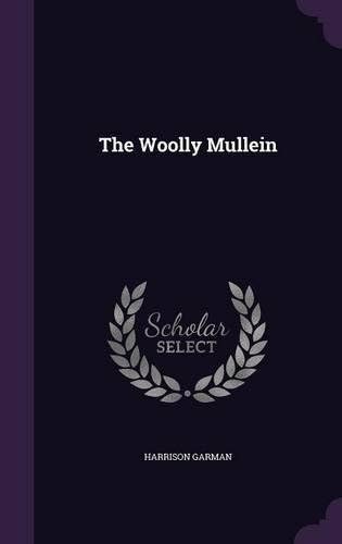 The Woolly Mullein