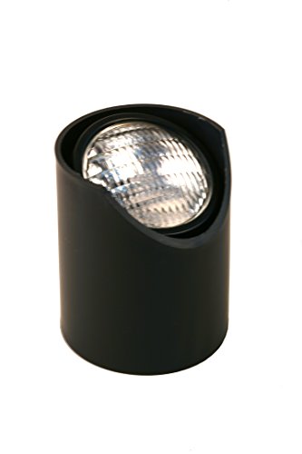 12V Landscape Lighting LED In Ground Well Light (BPL200LED)