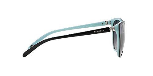 tf4089b sunglasses