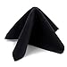 SMALL Clip On sunglasses case | Thin slim hard shell protective case for glasses Sun Clips Men & Women (AS510 Black)
