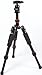 Rollei Fotopro M4-Mini Aluminium Tripod with Ball Head and Tripod Bag Black