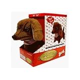 Westminster Dottie the Dachsund