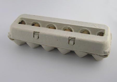 Egg Cartons - Blank Egg Cartons (Pack of 25 egg cartons)
