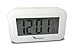 Travelwey Night-Time Digital Alarm Clock for Bedrooms, Visible at Night, Snooze, Temperature, Date, Two USB Charging Ports, White