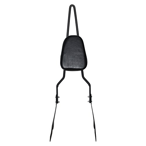 Senkauto Motorcycle Passenger Backrest Sissy Bar Seat Pillion Pad for Harley Sportster XL 883 1200 2004-2019
