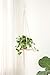 Mkono 2Pack Macrame Shelf Hanging Planter Plant Hanger Home Decor 45 Inches, Square
