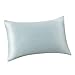 ALASKA BEAR Silk Pillowcase Hypoallergenic for Acne Prone Skin Best 100 Percent Mulberry Silk Real Cooling Pillow Case Queen Size with Zipper (1pc, Eggshell Blue)