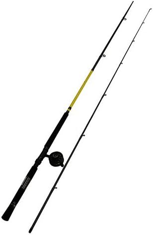 crappie rod and reel combo