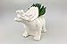 VanEnjoy Cute Cartoon Dinosaur Ceramic Succulent Planter, Water Culture Hydroponics Bonsai Cactus Flower Pot,Air Plant Vase Holder Desktop Decorative Organizer (Triceratops, White)