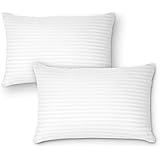 DreamNorth PREMIUM Gel Pillow Loft (Pack of 2) Luxury Plush Gel Bed Pillow For Home + Hotel Collection [Good For Side and Back Sleeper] Cotton Cover Dust Mite Resistant & Hypoallergenic - Queen Size