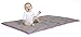 All in One Play Blanket and Toddler Quilt,Khaki/Lime