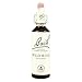 Bach Original Flower Remedy Wild Rose 20 ml