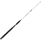 berkley big game baitcast combo