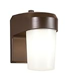 All-Pro FE13PC, 13W Fluorescent Entry Light With Photo Control, Bronze
