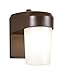 All-Pro FE13PC 13W Fluorescent Entry Light With Photo Control, Bronze