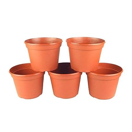 BIO BLOOMS AGRO INDIA PRIVATE LIMITED Plastic Pot, Brown, 9 Inch, 5 Pieces
