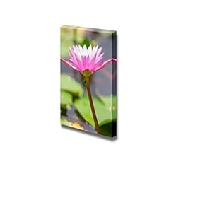 Canvas Prints Wall Art - Pink Lotus and Dragonfly Make Heart Shape | Modern Wall Decor/Home Decoration Stretched Gallery Canvas Wrap Giclee Print. Ready to Hang - 12" x 18"