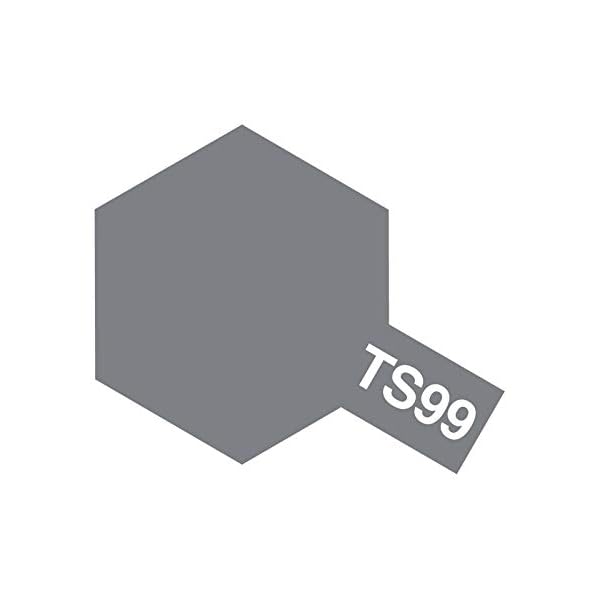TAMIYA 85099 TS-99 IJN Grau matt 100ml - SprÃ¼hfarbe fÃ¼r Plastikmodellbau, Modellbau und BastelzubehÃ¶r, SprÃ¼hfarbe fÃ¼r den Modellbau – Bild 3