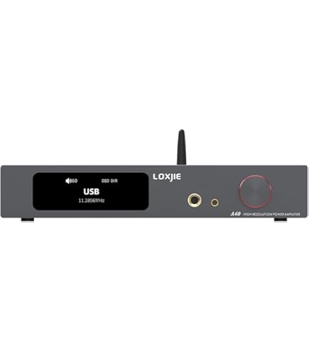 LOXJIE A40 パワーアンプ HI-FI ステレオ デジタルアンプ 61TELXp+tTL._UF894,1000_QL80_.jpg
