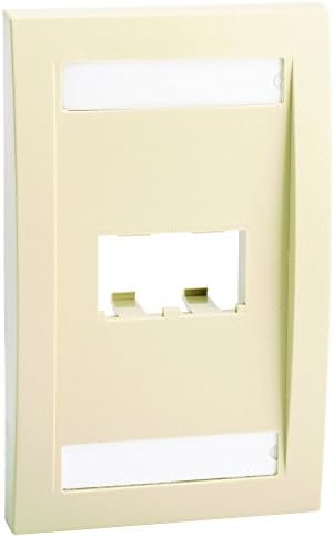 CFPE2EIY 1-Gang 2-Port Faceplate, Electric Ivory