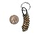 Real Rattlesnake Rattle and Leather Keychain
