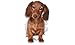 Winston & Bear 3D Dog Stickers - 2 Pack - Long Haired Brown Dachshund for Wall, Fridge, Toilet and More - Doxie 3D Decals - Retail Packaged Sausage Dog