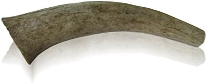 Medium Natural Elk Antler Chews for Dogs; Whole Elk Antler for Medium to Large Dogs and Puppies • Made in USA • Organic, Long Lasting, Healthy Treat for Dogs (medium)