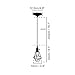 CLAXY Ecopower Industrial Opening and Closing Plug-in Pendant Lighting Wire Cage Lamp Guard Fixture