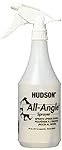 Hudson 62227 24 oz. All Angle Trigger Sprayer