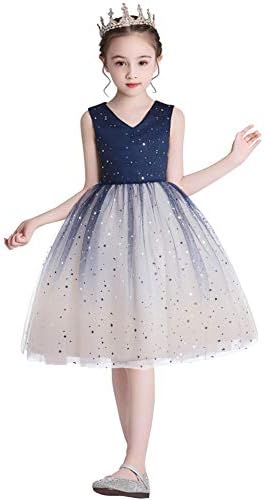 Weileenice 子供服 フォーマルドレス 女の子 ミニドレス 刺繍 フラワー 100 110 1 130 140 150 160 プリンセス 膝丈 結婚式 発表会 誕生日