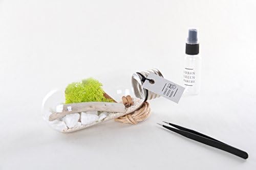 Glass Bulb/Tube Terrarium DIY Kit - Includes Moss, Drift Wood, Rocks, &amp; Other Decorative Supplies - Unique &amp; Customizable (Urban Green Makers Kit 6)