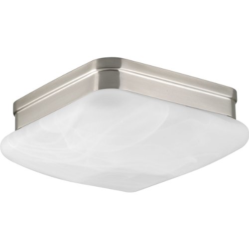 Progress Lighting P3490-09 2-Light Flush Mount with Etched Alabaster Glass Square Diffuser