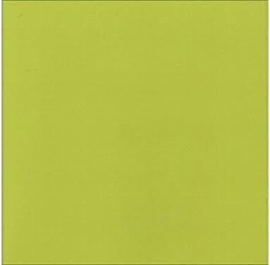 Grasscloth Cardstock 12 x 12-inch Sour Apple Grasscloth Cardstock