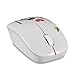 Sungwoo Wireless Mouse 2.4GHz Silent Mouse with Cute Little Bird Design and Nano Receiver for PC Laptop Desktop - White Bird