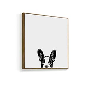 Framed Canvas Wall Art for Living Room, Bedroom Curious Dog and Cat Canvas Prints for Home Decoration Ready to Hanging - 16x16 inches