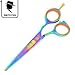 Hair Cutting Scissors Shear 5