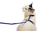Juvale Small Cat Harness and Leash with 4' Adjustable Nylon Leash - Blue