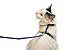 Juvale Small Cat Harness and Leash with 4' Adjustable Nylon Leash - Blue