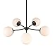 Light Society Grammercy 5-Light Chandelier Pendant, Black with Frost White Glass Globes, Classic Mid Century Modern Lighting Fixture (LS-C228-BK-WH)