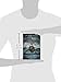 Raven Flight: A Shadowfell novel