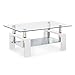 SUNCOO Rectangular Glass Coffee Table Shelf Wood Living Room Furniture Chrome Base (White)