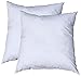 Pillowflex Premium Polyester Pillow Insert – 15x15 - Square Pillows Form, Machine Washable, Soft Sham Supports, Decorative Form for Covers and Throw Pillows, Hypoallergenic - Made in USA - 2 Pack