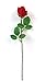 Angel Isabella 1 Dozen Live-Feel Real Touch Artificial Long stem Rose with Vein Printed Leaf.Keepsake Flowers