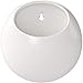 Amazon Brand – Rivet Round Wall Mount Planter, 7.75