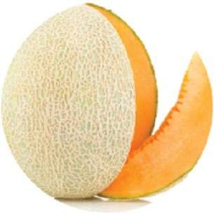 Creative Farmer Vegetable Seeds Yellow Shamam Seeds - Musk Melon Golden (Orange Flesh) Seeds Home Garden Seeds